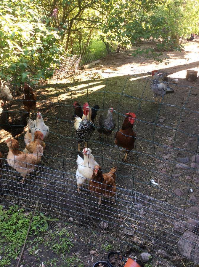 Lauku Seta Eglaji Villa Jurkalne Dış mekan fotoğraf